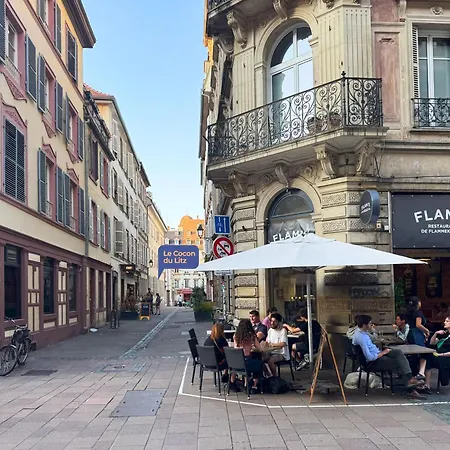 Le Cocon Du Litz - 2 Pieces De Charme Centre Historique * Strasbourg