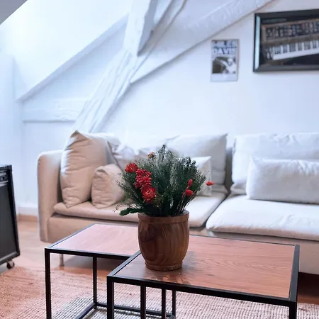 Le Cocon Du Litz - 2 Pieces De Charme Centre Historique *