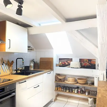 Le Cocon Du Litz - 2 Pieces De Charme Centre Historique شقة ستراسبورغ