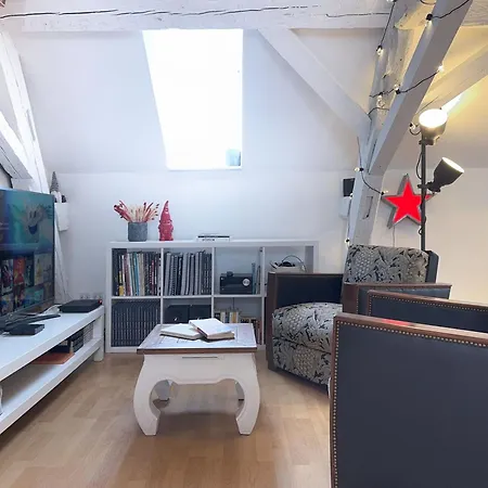 Le Cocon Du Litz - 2 Pieces De Charme Centre Historique Apartman *