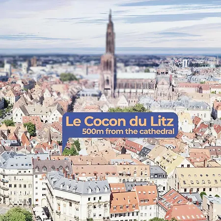 Le Cocon Du Litz - 2 Pieces De Charme Centre Historique Apartamento