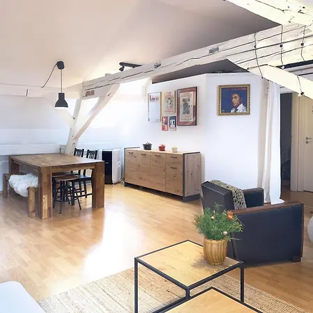 Le Cocon Du Litz - 2 Pieces De Charme Centre Historique * Estrasburgo